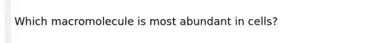 Which macromolecule is most abundant in cells?