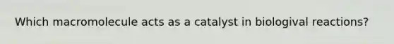 Which macromolecule acts as a catalyst in biologival reactions?