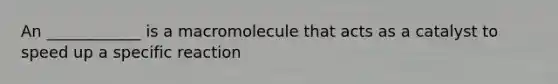 An ____________ is a macromolecule that acts as a catalyst to speed up a specific reaction