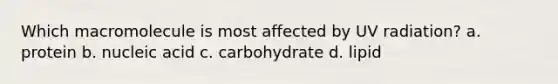 Which macromolecule is most affected by UV radiation? a. protein b. nucleic acid c. carbohydrate d. lipid