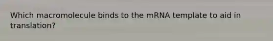 Which macromolecule binds to the mRNA template to aid in translation?