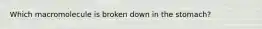Which macromolecule is broken down in the stomach?