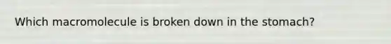 Which macromolecule is broken down in the stomach?
