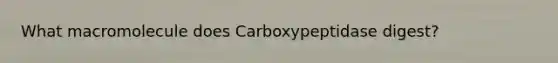 What macromolecule does Carboxypeptidase digest?