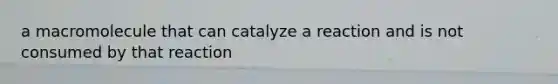 a macromolecule that can catalyze a reaction and is not consumed by that reaction