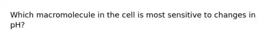 Which macromolecule in the cell is most sensitive to changes in pH?