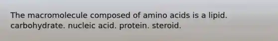 The macromolecule composed of amino acids is a lipid. carbohydrate. nucleic acid. protein. steroid.