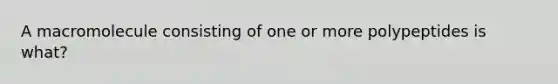 A macromolecule consisting of one or more polypeptides is what?