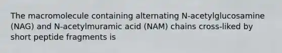 The macromolecule containing alternating N-acetylglucosamine (NAG) and N-acetylmuramic acid (NAM) chains cross-liked by short peptide fragments is