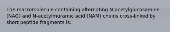 The macromolecule containing alternating N-acetylglucosamine (NAG) and N-acetylmuramic acid (NAM) chains cross-linked by short peptide fragments is: