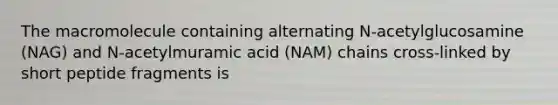 The macromolecule containing alternating N-acetylglucosamine (NAG) and N-acetylmuramic acid (NAM) chains cross-linked by short peptide fragments is