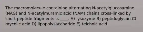 The macromolecule containing alternating N-acetylglucosamine (NAG) and N-acetylmuramic acid (NAM) chains cross-linked by short peptide fragments is ____. A) lysozyme B) peptidoglycan C) mycolic acid D) lipopolysaccharide E) teichoic acid