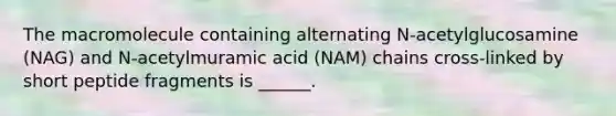 The macromolecule containing alternating N-acetylglucosamine (NAG) and N-acetylmuramic acid (NAM) chains cross-linked by short peptide fragments is ______.