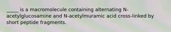 _____ is a macromolecule containing alternating N-acetylglucosamine and N-acetylmuramic acid cross-linked by short peptide fragments.