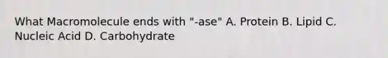 What Macromolecule ends with "-ase" A. Protein B. Lipid C. Nucleic Acid D. Carbohydrate