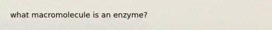 what macromolecule is an enzyme?