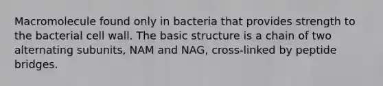 Macromolecule found only in bacteria that provides strength to the bacterial cell wall. The basic structure is a chain of two alternating subunits, NAM and NAG, cross-linked by peptide bridges.