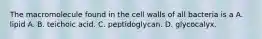 The macromolecule found in the cell walls of all bacteria is a A. lipid A. B. teichoic acid. C. peptidoglycan. D. glycocalyx.