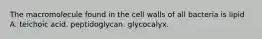 The macromolecule found in the cell walls of all bacteria is lipid A. teichoic acid. peptidoglycan. glycocalyx.