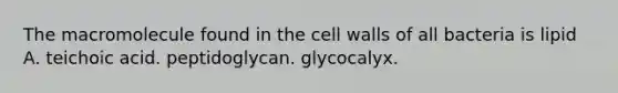 The macromolecule found in the cell walls of all bacteria is lipid A. teichoic acid. peptidoglycan. glycocalyx.