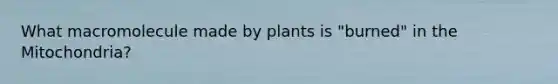 What macromolecule made by plants is "burned" in the Mitochondria?