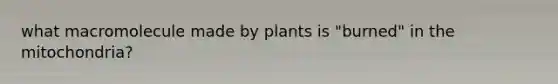 what macromolecule made by plants is "burned" in the mitochondria?