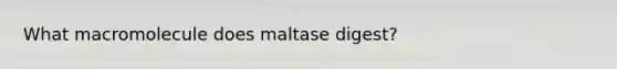 What macromolecule does maltase digest?