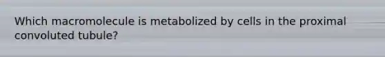 Which macromolecule is metabolized by cells in the proximal convoluted tubule?