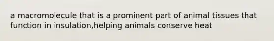 a macromolecule that is a prominent part of animal tissues that function in insulation,helping animals conserve heat