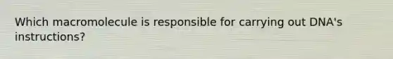 Which macromolecule is responsible for carrying out DNA's instructions?