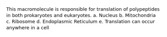 This macromolecule is responsible for translation of polypeptides in both prokaryotes and eukaryotes. a. Nucleus b. Mitochondria c. Ribosome d. Endoplasmic Reticulum e. Translation can occur anywhere in a cell