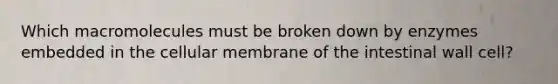 Which macromolecules must be broken down by enzymes embedded in the cellular membrane of the intestinal wall cell?