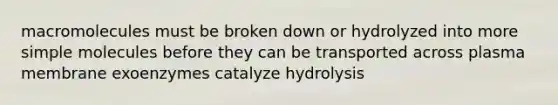 macromolecules must be broken down or hydrolyzed into more simple molecules before they can be transported across plasma membrane exoenzymes catalyze hydrolysis