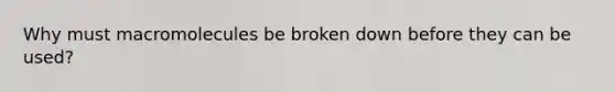 Why must macromolecules be broken down before they can be used?