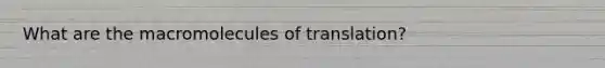 What are the macromolecules of translation?