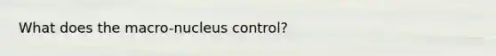 What does the macro-nucleus control?