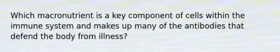 Which macronutrient is a key component of cells within the immune system and makes up many of the antibodies that defend the body from illness?