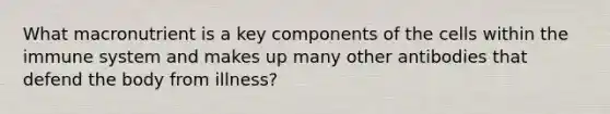 What macronutrient is a key components of the cells within the immune system and makes up many other antibodies that defend the body from illness?