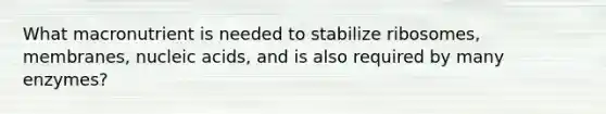 What macronutrient is needed to stabilize ribosomes, membranes, nucleic acids, and is also required by many enzymes?