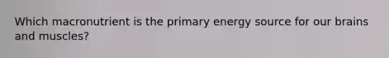 Which macronutrient is the primary energy source for our brains and muscles?