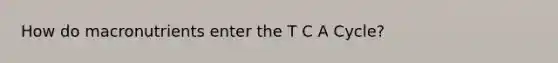 How do macronutrients enter the T C A Cycle?