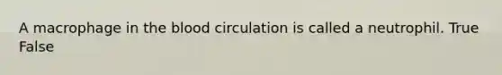 A macrophage in the blood circulation is called a neutrophil. True False