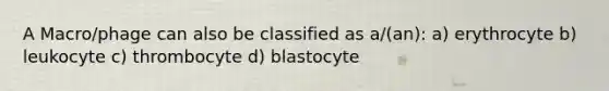 A Macro/phage can also be classified as a/(an): a) erythrocyte b) leukocyte c) thrombocyte d) blastocyte