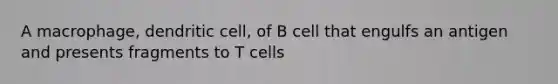 A macrophage, dendritic cell, of B cell that engulfs an antigen and presents fragments to T cells