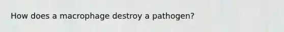 How does a macrophage destroy a pathogen?