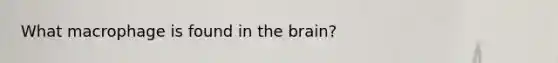 What macrophage is found in the brain?