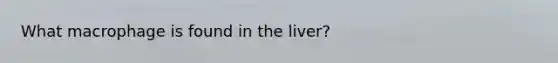What macrophage is found in the liver?