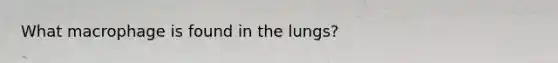 What macrophage is found in the lungs?