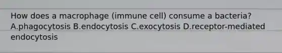 How does a macrophage (immune cell) consume a bacteria? A.phagocytosis B.endocytosis C.exocytosis D.receptor-mediated endocytosis