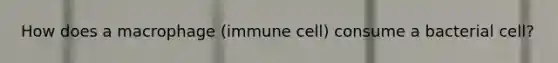 How does a macrophage (immune cell) consume a bacterial cell?